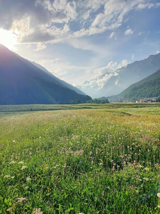 Villa Costa Da Lori Cogne Exteriör bild