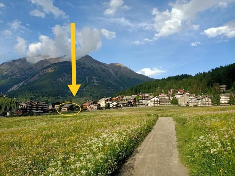 Villa Costa Da Lori Cogne Exteriör bild
